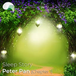 Sleep Story: Peter Pan - RelaxMyBrain