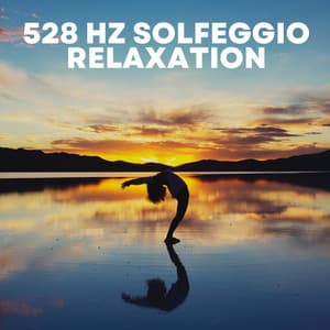 528 Hz Solfeggio Relaxation - Solfeggio Frequencies for Meditation