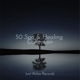 50 Spa & Healing Collection - ASMR HD