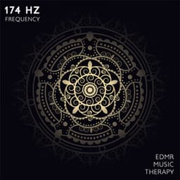 174 Hz Frequency: EDMR Music Therapy & Bilateral Healing Beats - Bryan Hz Solfeggio