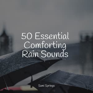 50 Essential Comforting Rain Sounds - Ambient Arena