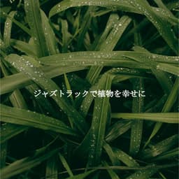 ジャズトラックで植物を幸せに - Musique Matinale Calme