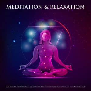 Meditation and Relaxation: Calm Music For Meditation, Focus, Concentration, Yoga Music, Spa Music, Massage Music and Music For Stress Relief - Meditation Music Experience