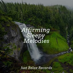 Affirming Sleepy Melodies - Exam Study Classical Music