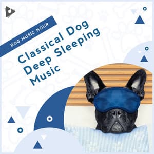 Classical Dog Deep Sleeping Music - Dog Music Hour