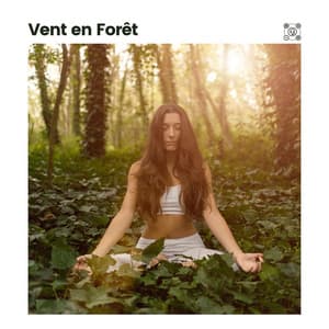 Vent en Forêt - Sommeil profond