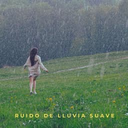 Ruido De Lluvia Suave - Maravilla de lluvia