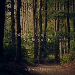 50 Pink Vibes and Study Sounds - Baby Songs & Lullabies For Sleep