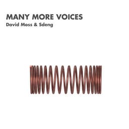 Many More Voices - David Moss