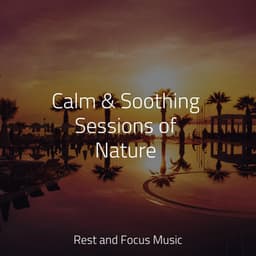 Calm & Soothing Sessions of Nature - Chillout Lounge