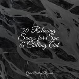 50 Relaxing Songs for Spa & Chilling Out - Namaste Healing Yoga