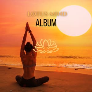 Soulful Meditation - Lotus Mind