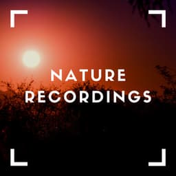 Soothing Sound Recordings - Natural Sample Makers