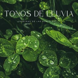 Tonos De Lluvia: Lágrimas De Las Nubes Vol. 1 - Lluvia de Berlín