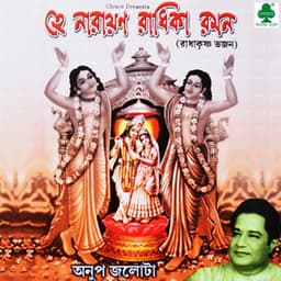 Hey Narayan Radhika Raman - Anup Jalota
