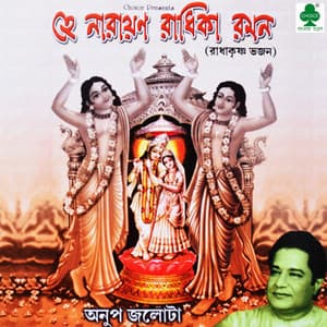 Hey Narayan Radhika Raman - Anup Jalota