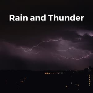 Gentle Showers and Angry Thunderstorms - Florida Nature