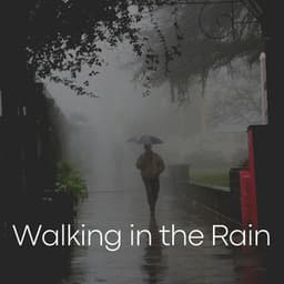Walking in the Rain - Rainy Dreaming