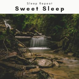 1 Sweet Sleep - Sleep Repeat