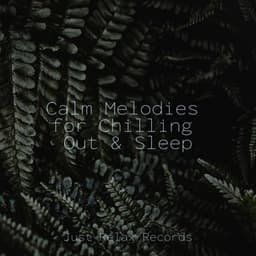 Calm Melodies for Chilling Out & Sleep - Schlaflieder Für Kinder