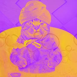 Music for Chilling Cats - Harmonica Solo - Calming Cat Music