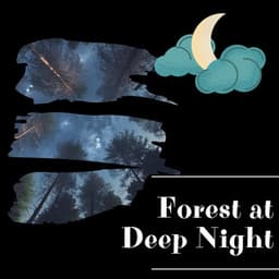 Forest at Deep Night - Night Sounds Channel