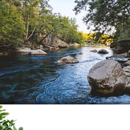 River Noise and Music: Zen by the River - Ruido Blanco Hart