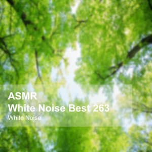 White Noise ASMR Best 263 - White Noise