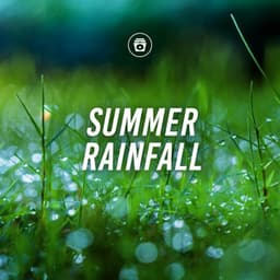 Summer Rainfall - Heavy Rain Sounds