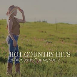 Hot Country Hits on Acoustic Guitar, Vol. 2 - The O'Neill Brothers Group