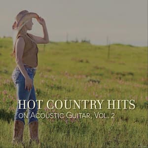 Hot Country Hits on Acoustic Guitar, Vol. 2 - The O'Neill Brothers Group