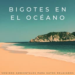 Bigotes En El Océano: Sonidos Ambientales Para Gatos Relajados - Ecos Débiles
