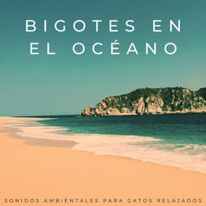 Bigotes En El Océano: Sonidos Ambientales Para Gatos Relajados - Ecos Débiles