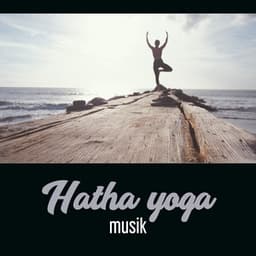 Hatha yoga musik - Balansera din kropp och sinne, Ljud av natur och zen musik, Yogakurser och avslappningsbehandling - Yoga Terapi Samling