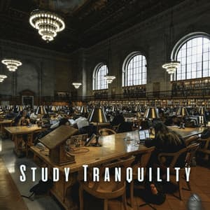 Study Tranquility: Meditation Music for Mindful Learning - Quiet Meditation Music
