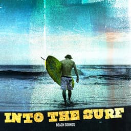Into the Surf - Beach Sounds