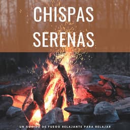 Chispas Serenas: Un Sonido De Fuego Relajante Para Relajar - Maestro de muestras de chimenea