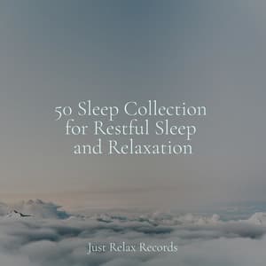 50 Sleep Collection for Restful Sleep and Relaxation - Relaxed Minds
