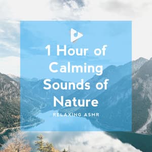 1 Hour of Calming Sounds of Nature - Relaxing ASMR