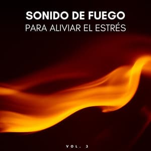 Sonido De Fuego Para Aliviar El Estrés Vol. 3 - Conjunto de adoración