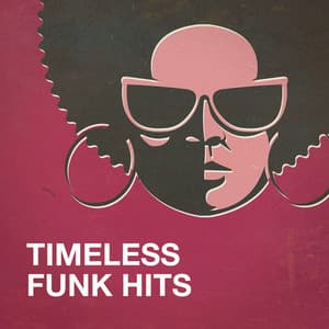 Timeless Funk Hits - Best Of Hits