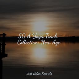 50 A Yoga Track Collection: New Age - Easy Sleep Music