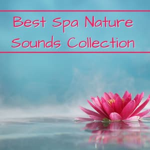Best Spa Nature Sounds Collection: Waterfalls, Butterfly, Frogs and Zen Music - Scents of Spa