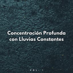 Concentración Profunda Con Lluvias Constantes Vol. 1 - Lluvia Olivia