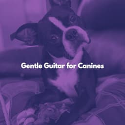 Gentle Guitar for Canines - Relajado Musica Relajante para Perros