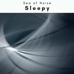 A Sleepy - Sea of Noise
