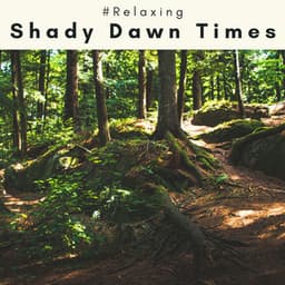 3 2 1 Shady Dawn Times - #Relaxing