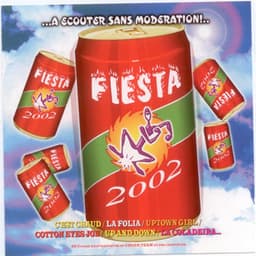 Fiesta 2002 - Cover Team