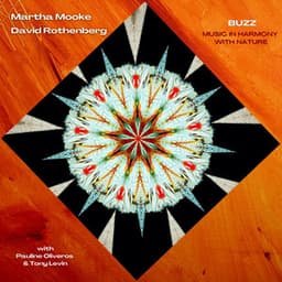 Buzz - Martha Mooke