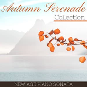 Autumn Serenade Collection: Cold Night New Age Piano Sonata Collection - Serena Wood